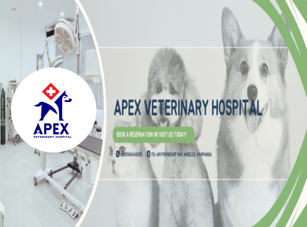 APEX Veterinary Hospital Banner